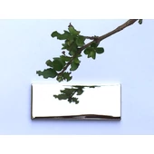 "Cole" öntapadós gravírlap - nikkelezett 5 x 2 cm