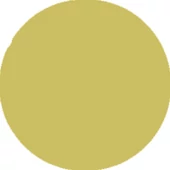 Érembetét - fényes arany - 25 mm - Tokió