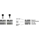 Lasertec 3 rétegű - 1,4 mm - piros / fehér / piros - 610 x 610 mm - gravirnagyker.hu - gravíralapanyag - e5330-1,4-1/2 - piktogram